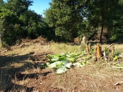 Foto Terreno