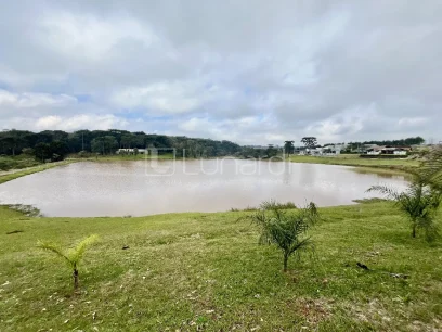 Foto Terreno